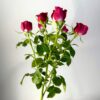 Малиновые кустовые розы — изображение 5