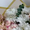 Утончённая коасика — изображение 3