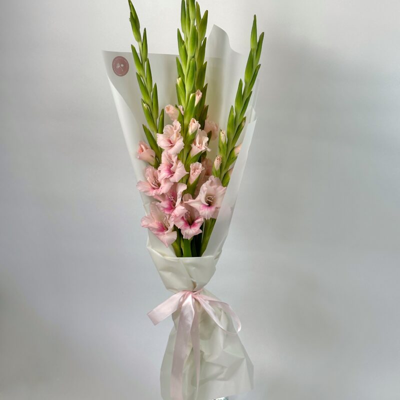 Гладиолусы