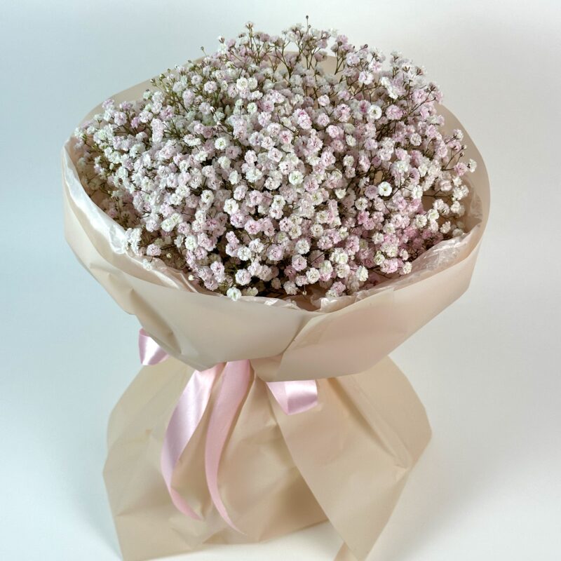 Вне времени