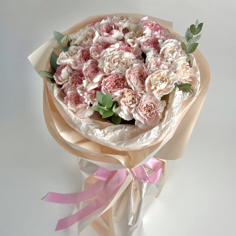 Изысканные диантусы