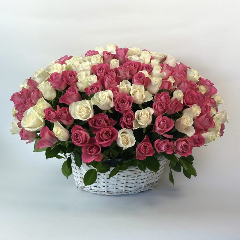 Микс 201 роза