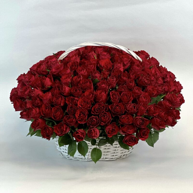 201 красная роза