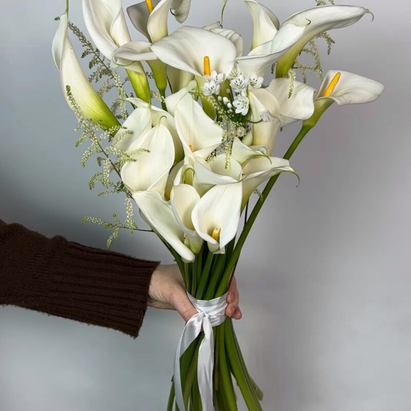 Твоя улыбка