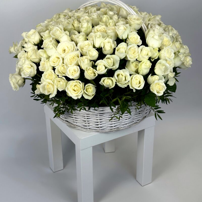 151 белая роза