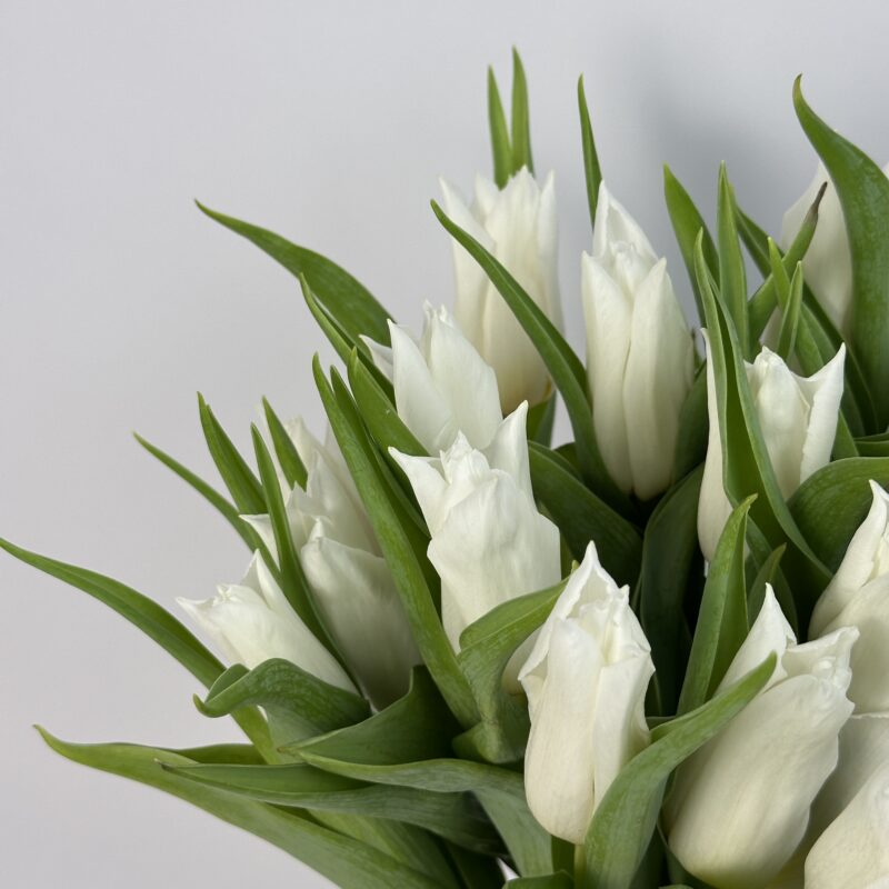 Бархатные белые