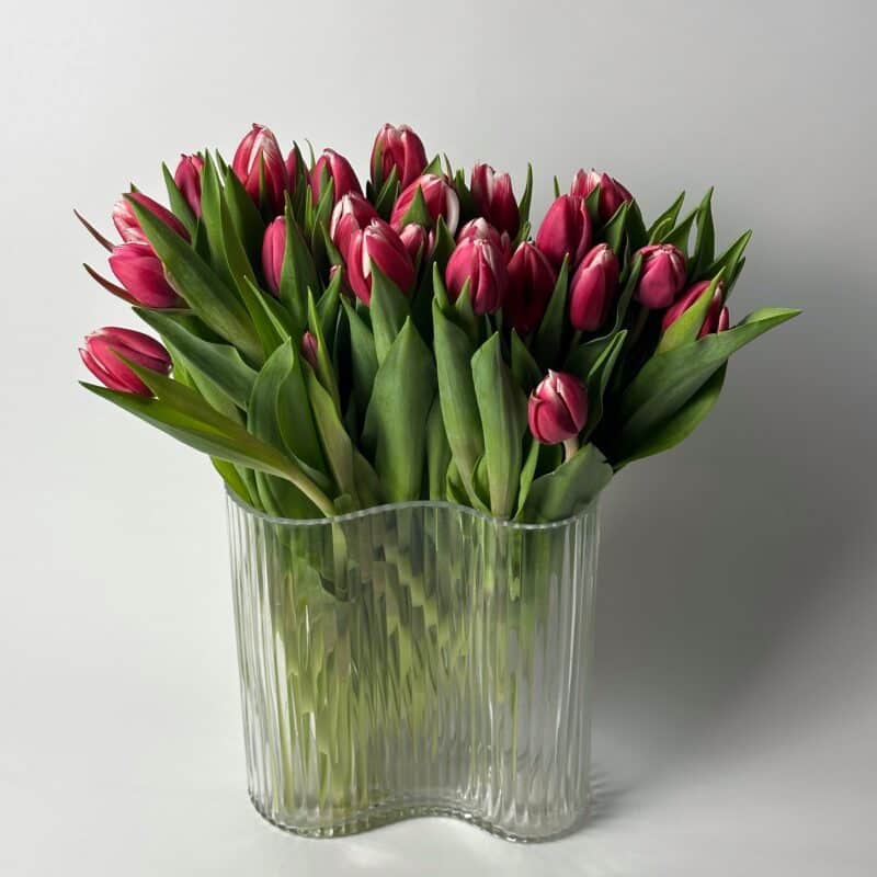 25 тюльпанов (F)