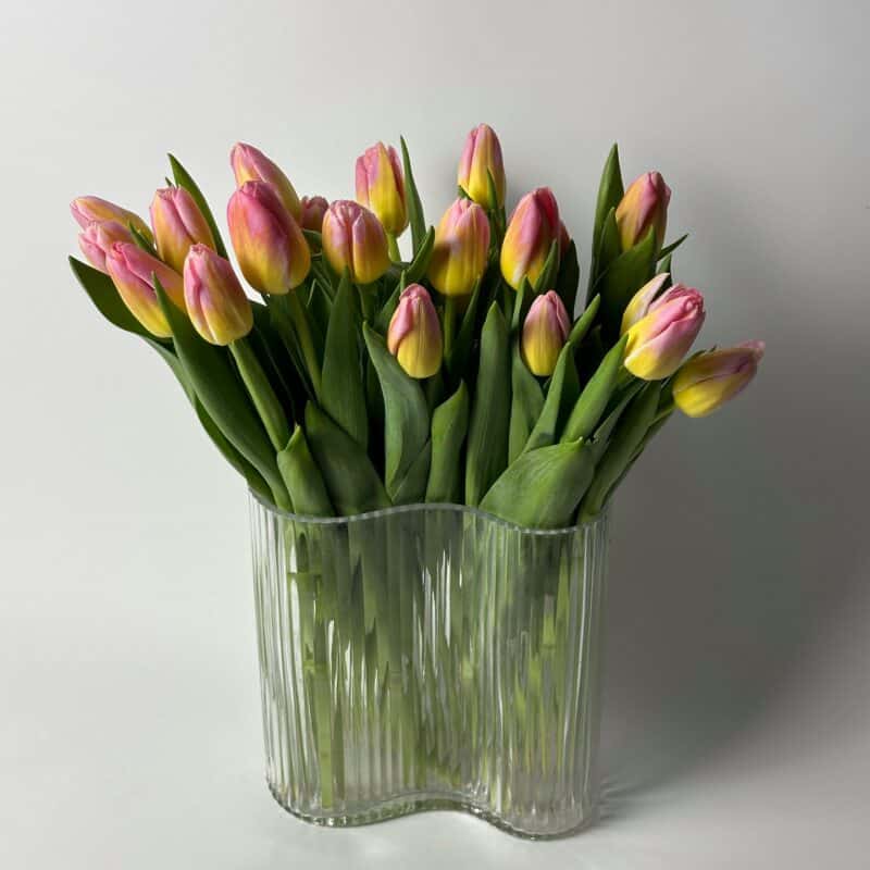 25 тюльпанов (М)