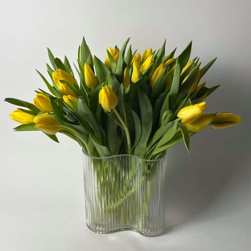 25 тюльпанов (Т)