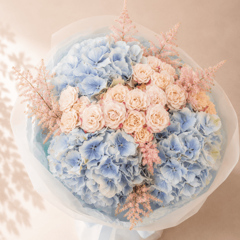 SOFT SKY