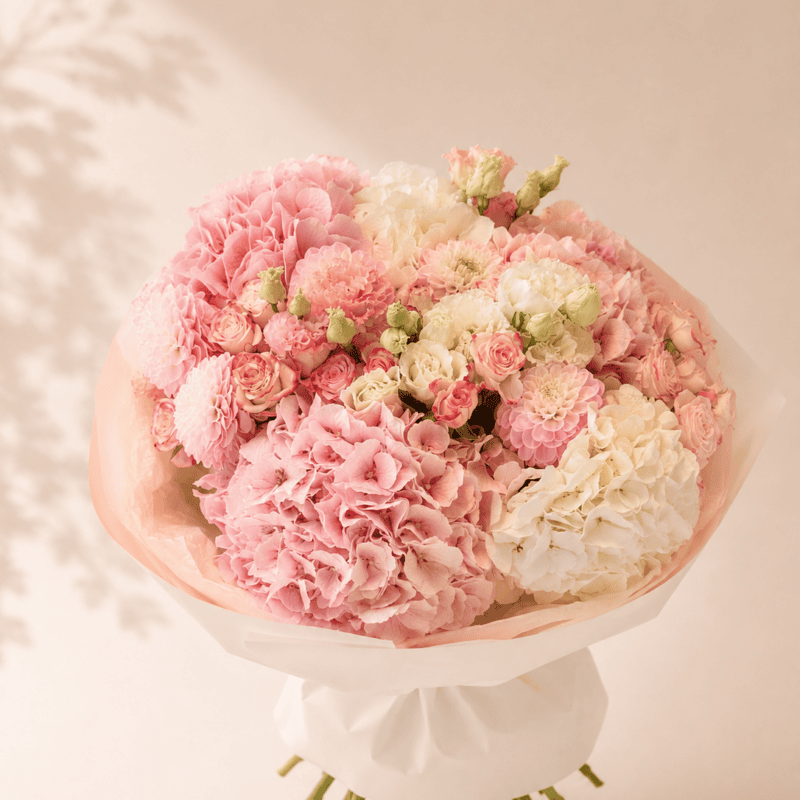 PINK BEAUTY